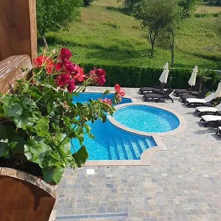 Mentor Gaytaninovo